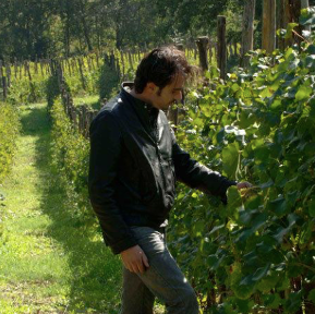 A journey through Italian wine